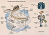 Ignition System Diagram